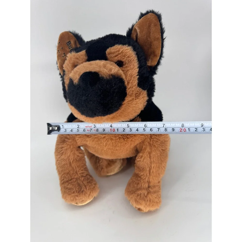German Shepherd 14